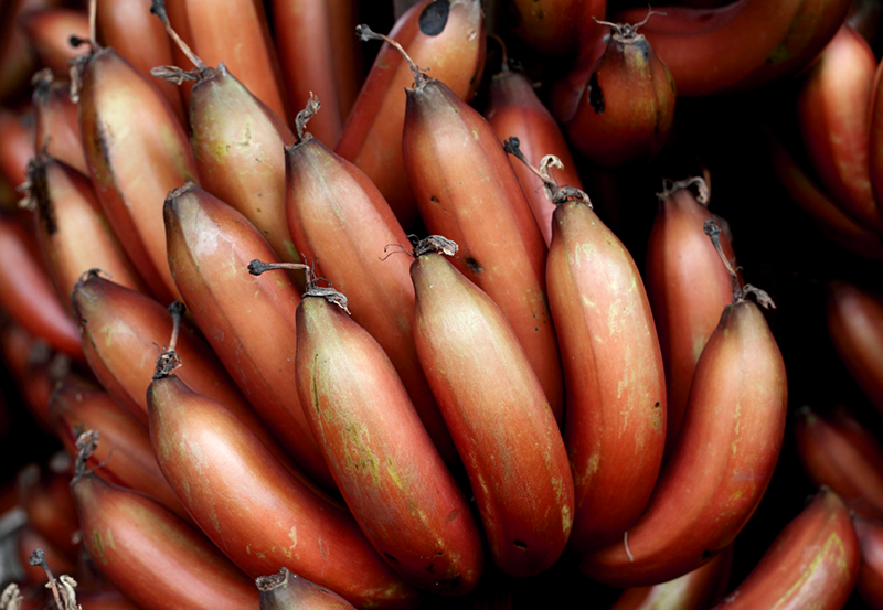 Red Banana
